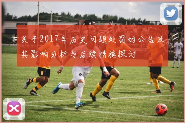 关于2017年历史问题处罚的公告及其影响分析与后续措施探讨