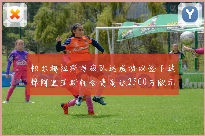 帕尔梅拉斯与狼队达成协议签下边锋阿里亚斯转会费高达2500万欧元